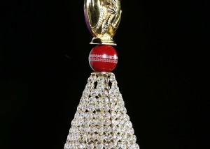 VB Cricket Club & Franchise Cricket League